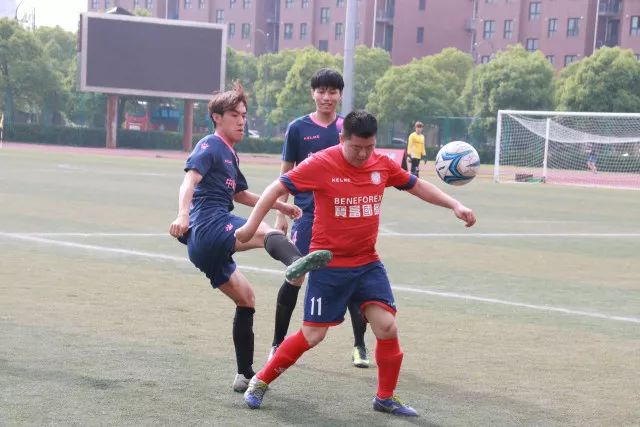 墨菲34分鹈鹕大胜猛龙41分 魔术力克黄蜂4连胜